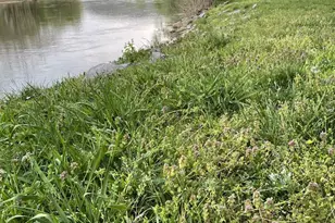 3837 Graces Cabin, Springfield, WV 26763 - Photo 50