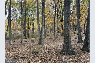 Journeys End Lane, Augusta, WV 26704 - Photo 18