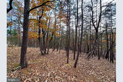 6.92 Ac Purgitsville Pike, Purgitsville, WV 26852 - Photo 14