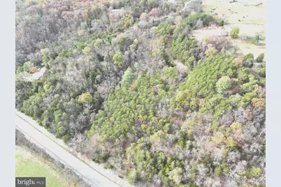 6.92 Ac Purgitsville Pike, Purgitsville, WV 26852 - Photo 20