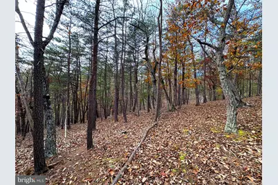 6.92 Ac Purgitsville Pike, Purgitsville, WV 26852 - Photo 12