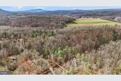 625 Twin Flower Lane, Capon Bridge, WV 26711 - Photo 96