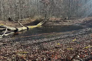 1070 Crystal Hollow Rd, Green Spring, WV 26722 - Photo 62