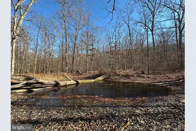 1070 Crystal Hollow Road, Green Spring, WV 26722 - Photo 26