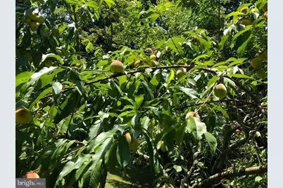 1070 Crystal Hollow Road, Green Spring, WV 26722 - Photo 24