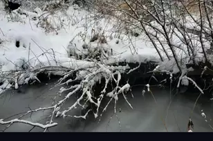 886 Mountain Heritage Ests Rd, Augusta, WV 26704 - Photo 12