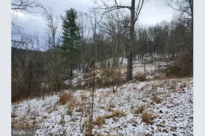 886 Mountain Heritage Estates Road, Augusta, WV 26704 - Photo 90