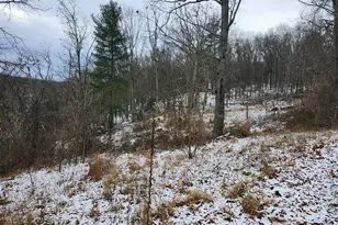 886 Mountain Heritage Ests Rd, Augusta, WV 26704 - Photo 90