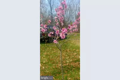 886 Mountain Heritage Estates Road, Augusta, WV 26704 - Photo 20