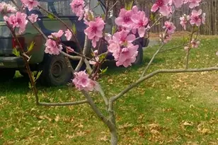 886 Mountain Heritage Ests Rd, Augusta, WV 26704 - Photo 20