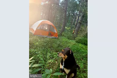 886 Mountain Heritage Estates Road, Augusta, WV 26704 - Photo 18