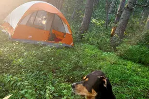 886 Mountain Heritage Ests Rd, Augusta, WV 26704 - Photo 18