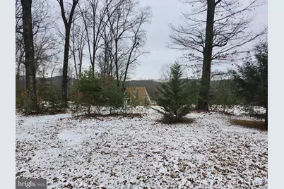 886 Mountain Heritage Estates Road, Augusta, WV 26704 - Photo 84