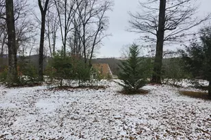 886 Mountain Heritage Ests Rd, Augusta, WV 26704 - Photo 84