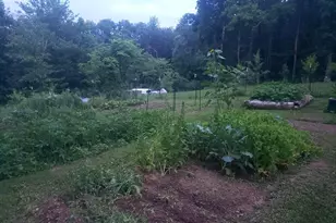 886 Mountain Heritage Ests Rd, Augusta, WV 26704 - Photo 22