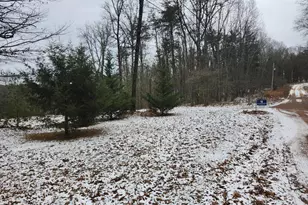 886 Mountain Heritage Ests Rd, Augusta, WV 26704 - Photo 92