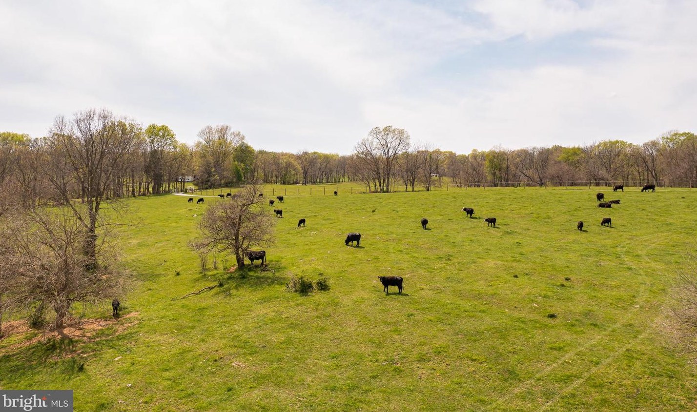 565 Vance Rd, Shepherdstown, WV 25443