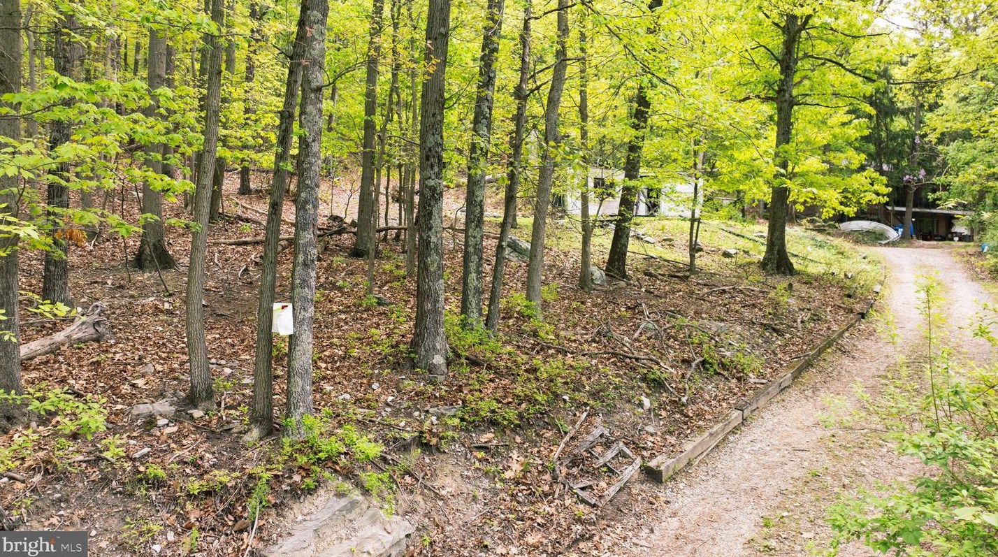 528 Alta Vista Dr, Harpers Ferry, WV 25425-6979