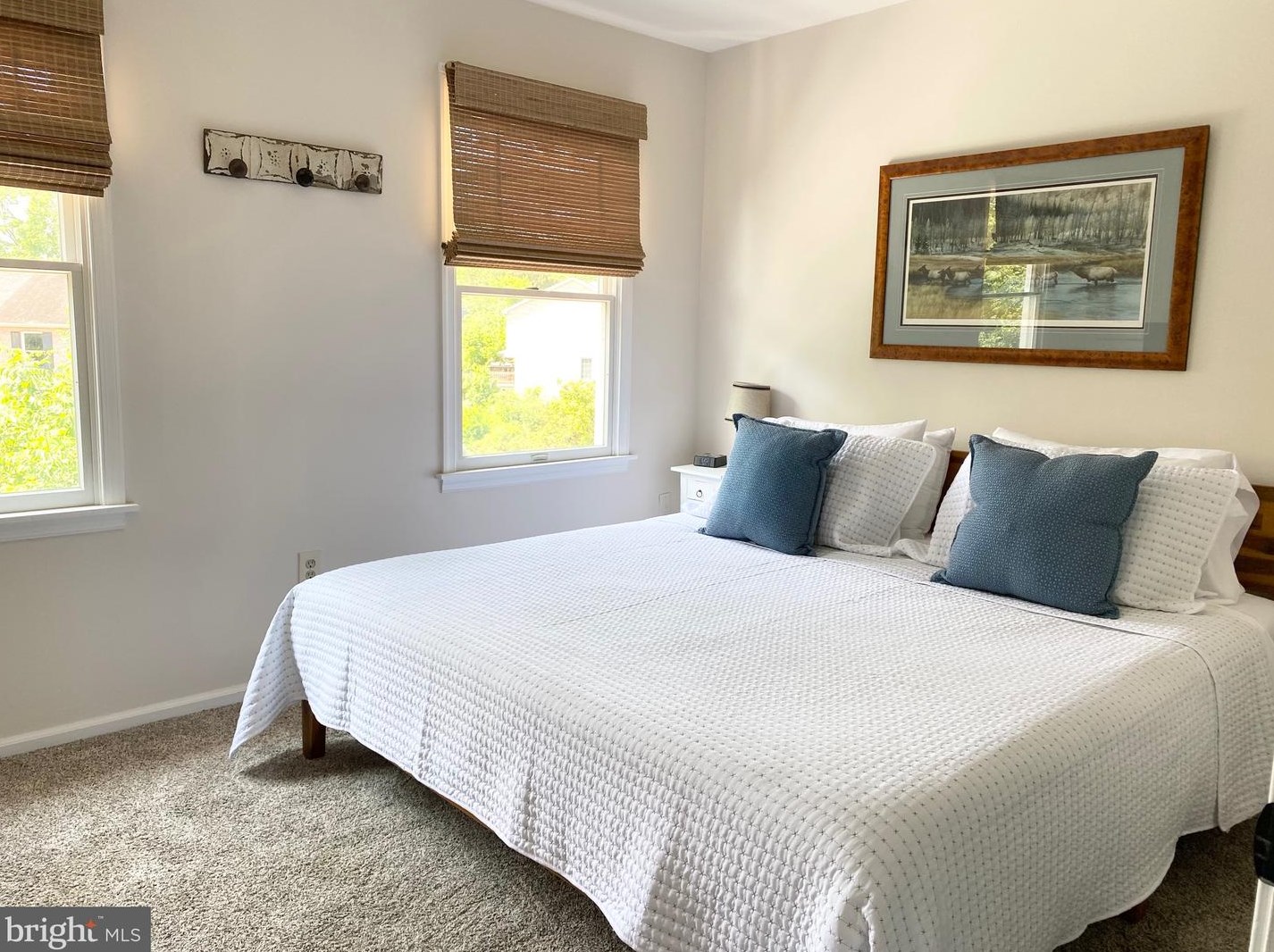 3 Stonewall Ct, Harpers Ferry WV 25425-6357 exterior