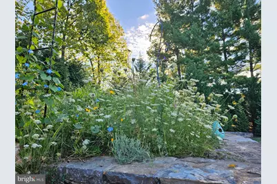 11 Marsh Hawk Way, Shepherdstown, WV 25443 - Photo 86