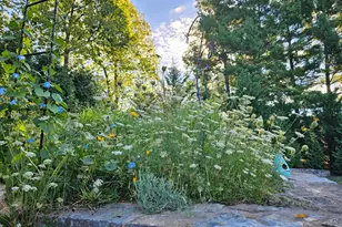 11 Marsh Hawk Way, Shepherdstown, WV 25443 - Photo 86