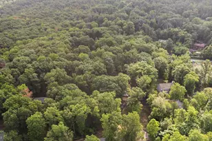 194 Black Cub Run Ln, Harpers Ferry, WV 25425 - Photo 42