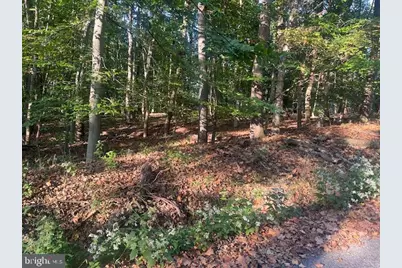 Steamboat Run Road, Shepherdstown, WV 25443 - Photo 1