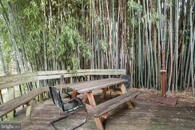 207 W High Street, Shepherdstown, WV 25443 - Photo 6