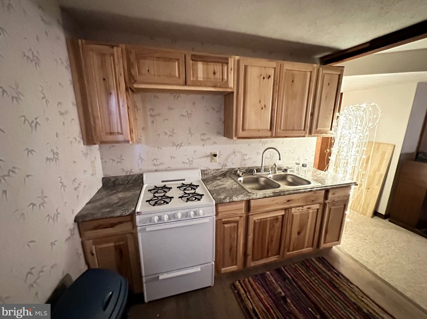 14172 Patterson Creek Rd, Medley WV  26710 exterior