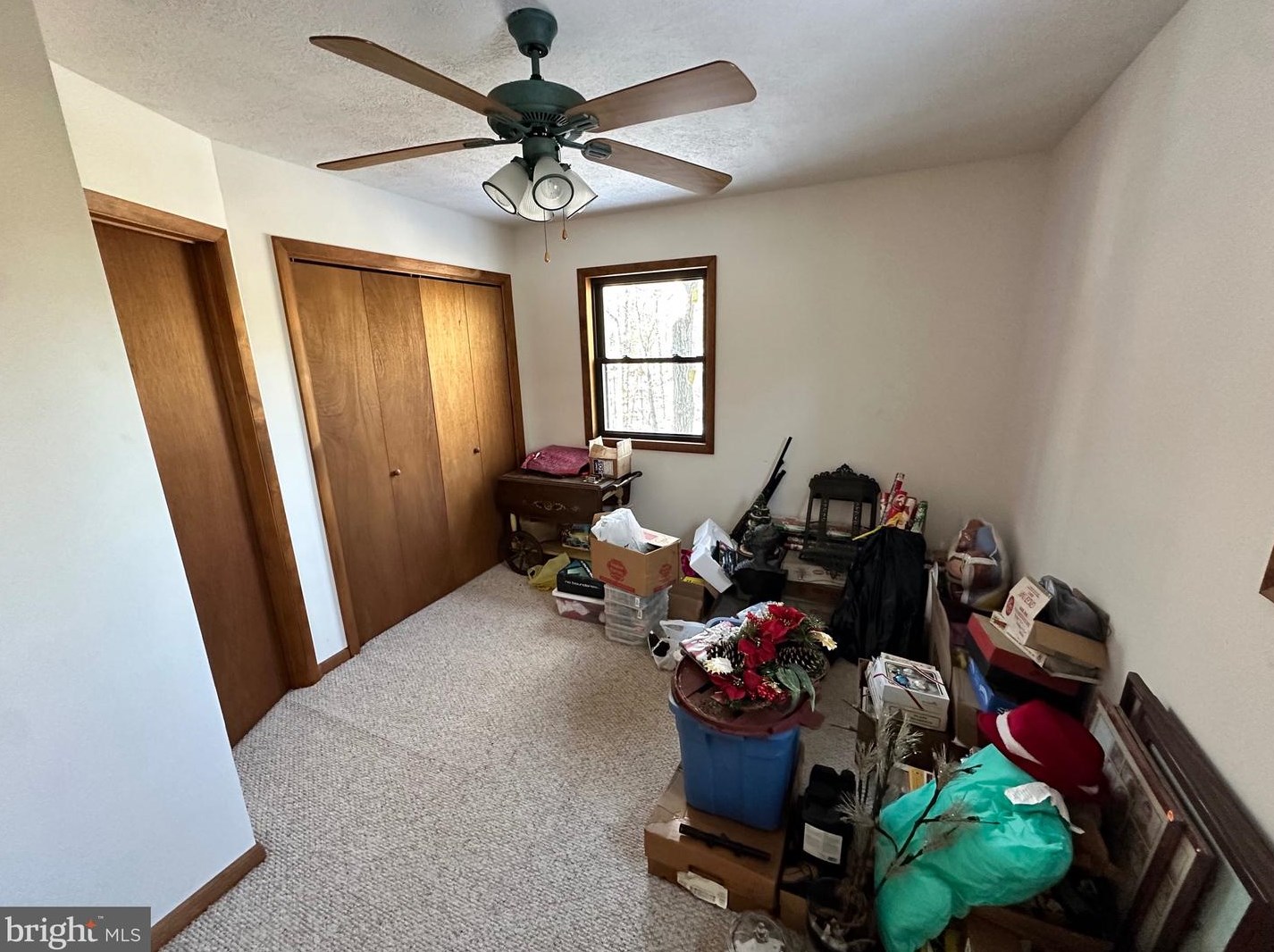 14172 Patterson Creek Rd, Medley WV  26710 exterior