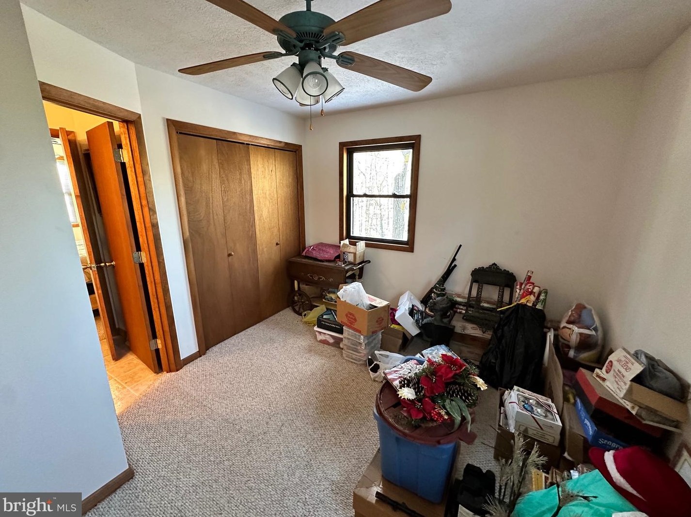 14172 Patterson Creek Rd, Medley WV  26710 exterior