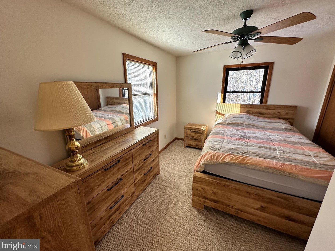 14172 Patterson Creek Rd, Medley WV  26710 exterior