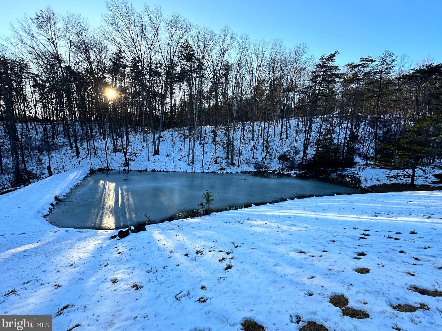 14172 Patterson Creek Rd, Medley WV  26710 exterior