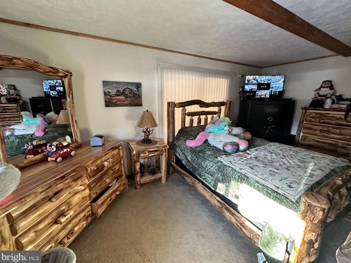 14172 Patterson Creek Rd, Medley WV  26710 exterior