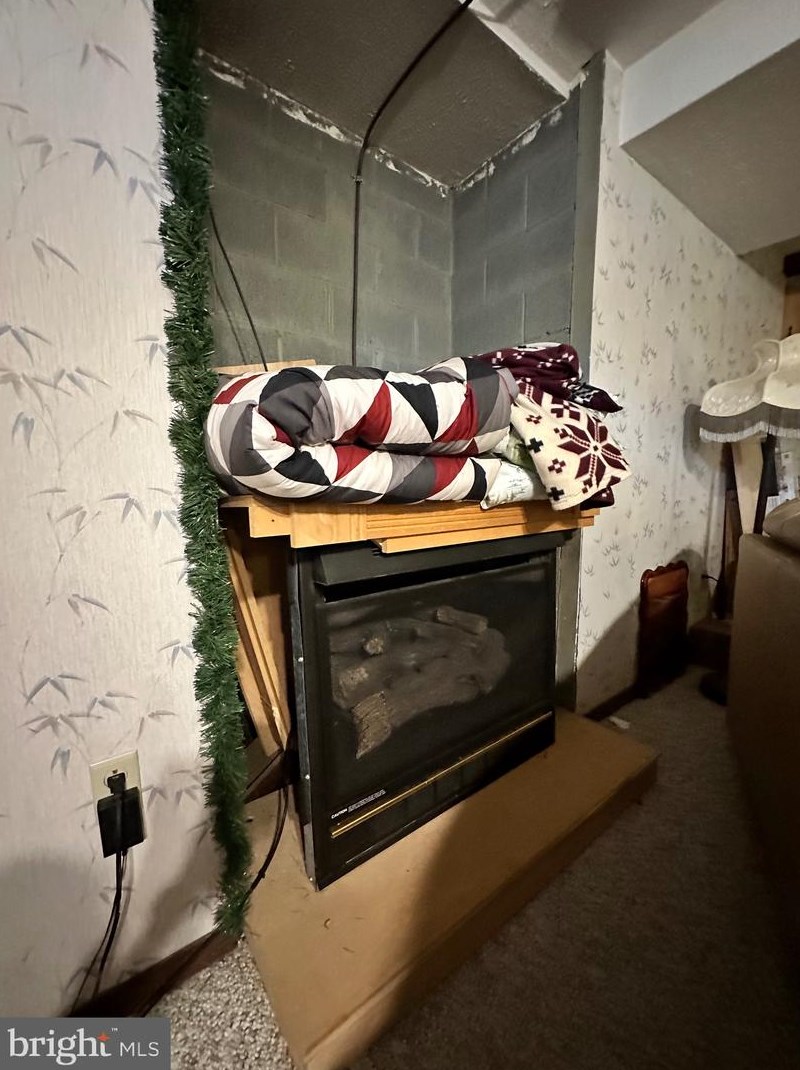 14172 Patterson Creek Rd, Medley WV  26710 exterior