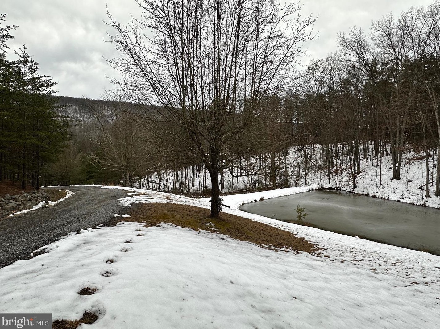 14172 Patterson Creek Rd, Medley WV  26710 exterior