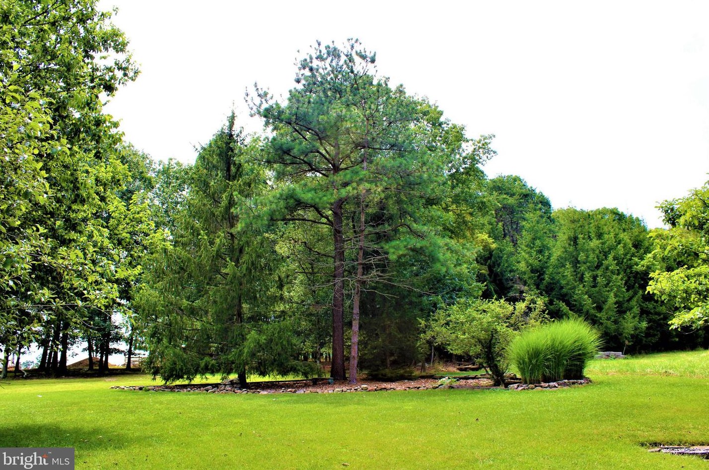 5374 Knobley Rd, Medley WV  26726 exterior