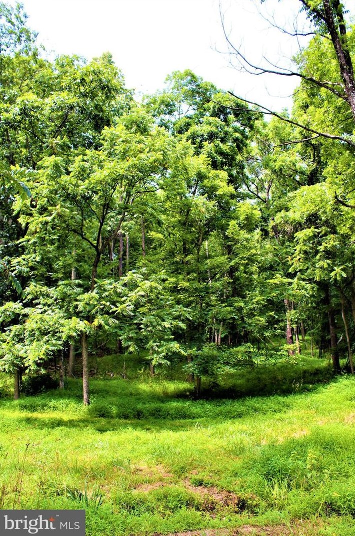 5374 Knobley Rd, Medley WV  26726 exterior