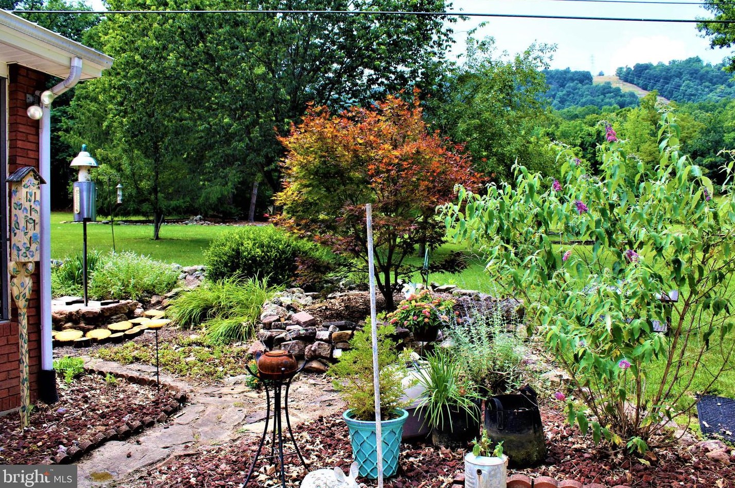 5374 Knobley Rd, Medley WV  26726 exterior