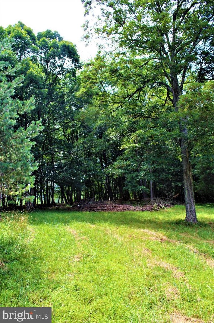 5374 Knobley Rd, Medley WV  26726 exterior