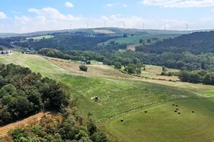 542 Bane Cutoff Rd, Elk Garden, WV 26717 - Photo 56