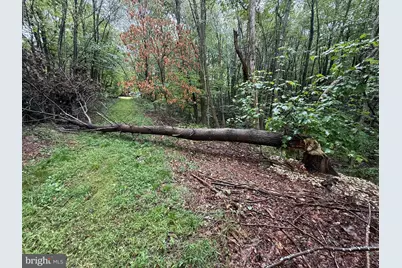 0 Pinnacle Road, Keyser, WV 26726 - Photo 2