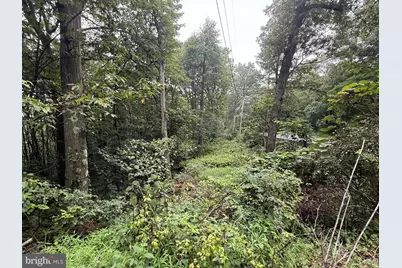 0 Pinnacle Road, Keyser, WV 26726 - Photo 56