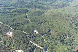 102 Bluffs Ridge Rd, Fort Ashby, WV 26719 - Photo 88