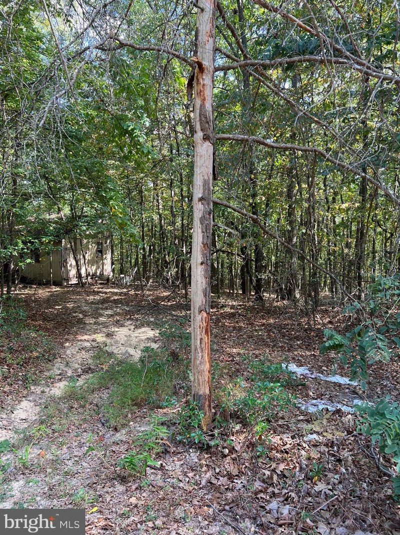 830 Roberts Rd, Great Cacapon, WV 25422