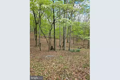 Pioneer Trail, Great Cacapon, WV 25422 - Photo 4