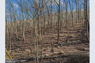 Ore Lane Lot #25, Berkeley Springs, WV 25411 - Photo 8