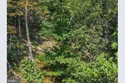 R5 Bobcat Drive, Berkeley Springs, WV 25411 - Photo 14