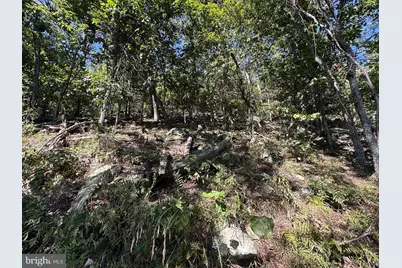 R5 Bobcat Drive, Berkeley Springs, WV 25411 - Photo 34