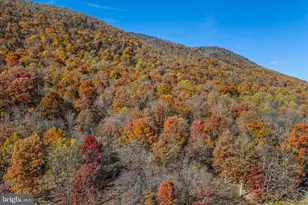 601 Parkside Terrace, Berkeley Springs, WV 25411 - Photo 48